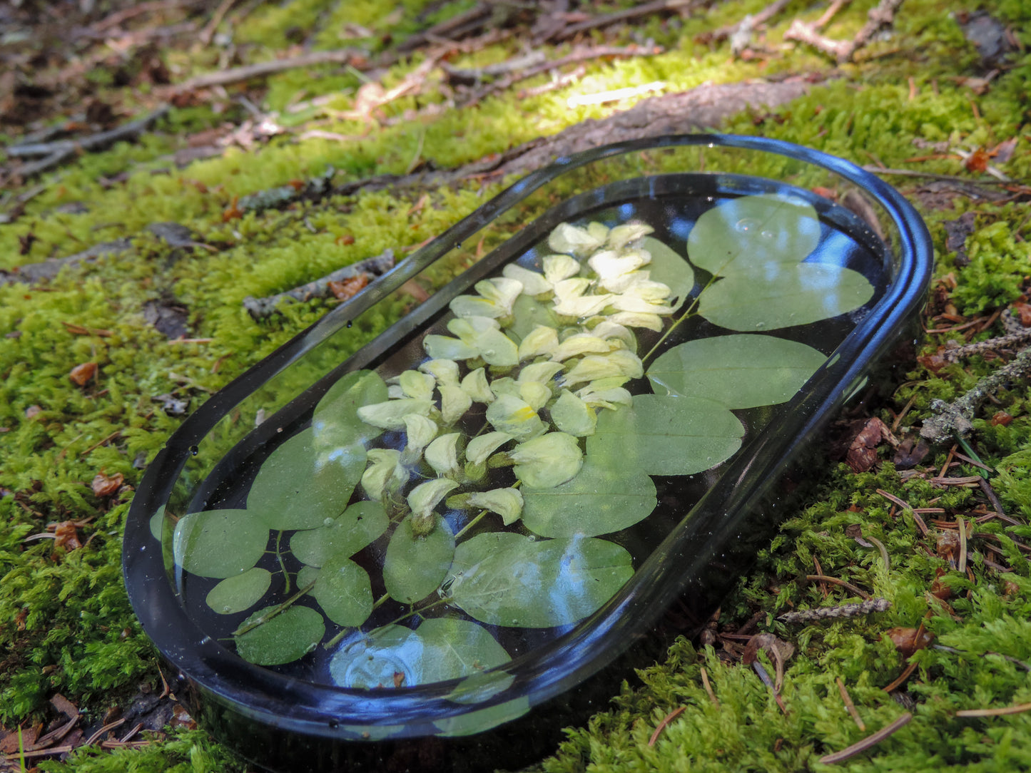 Black Locust Flower & Leaf Tray