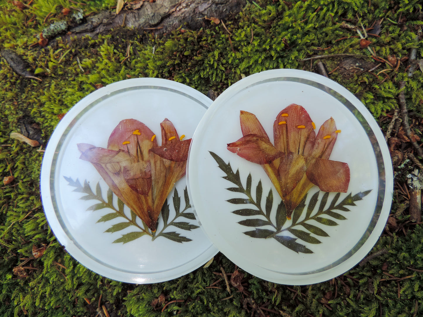 Lilly & Fern Coasters - Set of 2