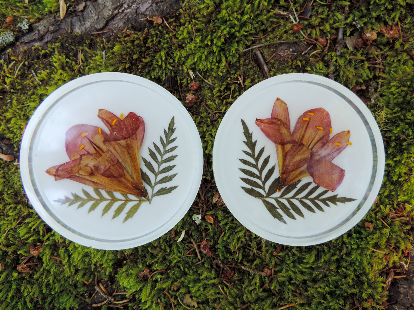 Lilly & Fern Coasters - Set of 2